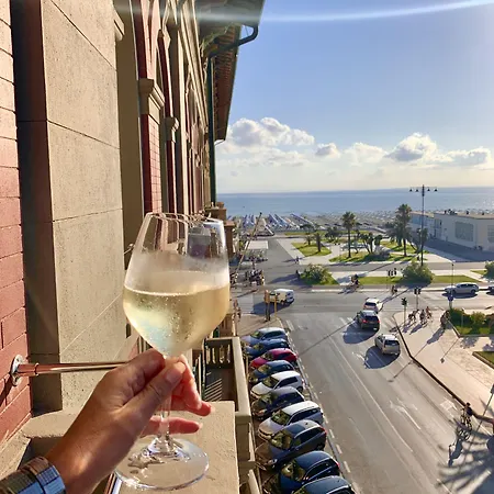 酒店 埃斯普奈德酒店 维亚雷焦