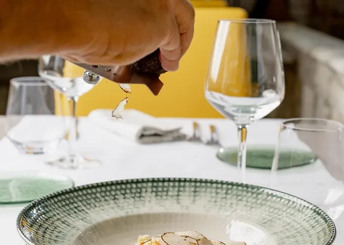 埃斯普奈德酒店 酒店