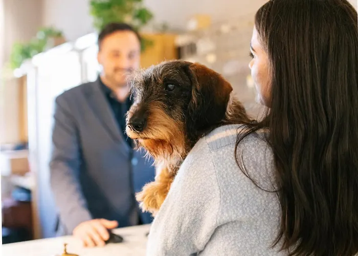 埃斯普奈德酒店 4* 维亚雷焦