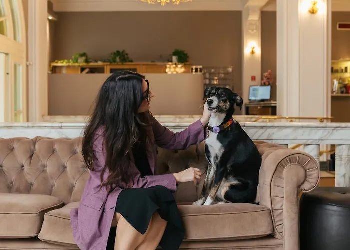 酒店 埃斯普奈德酒店 4*