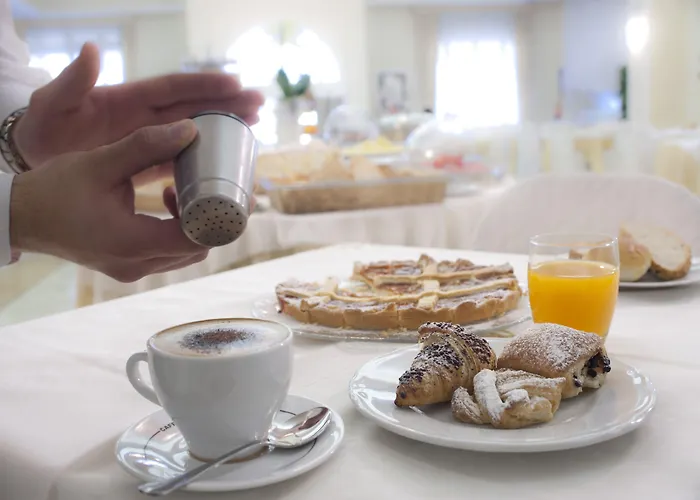 埃斯普奈德酒店 4* 维亚雷焦